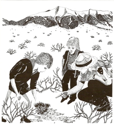 Great Basin National Park is a great place for kids