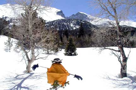 crow made out of ski poles and gear on a snowy day beneath Mt. Wheeler crow made out of ski poles and gear on a snowy day beneath Mt. Wheeler