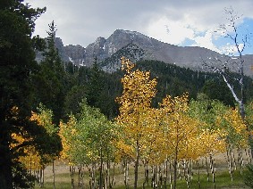 Aspens in fall color below Wheeler Peak Aspens in fall color below Wheeler Peak