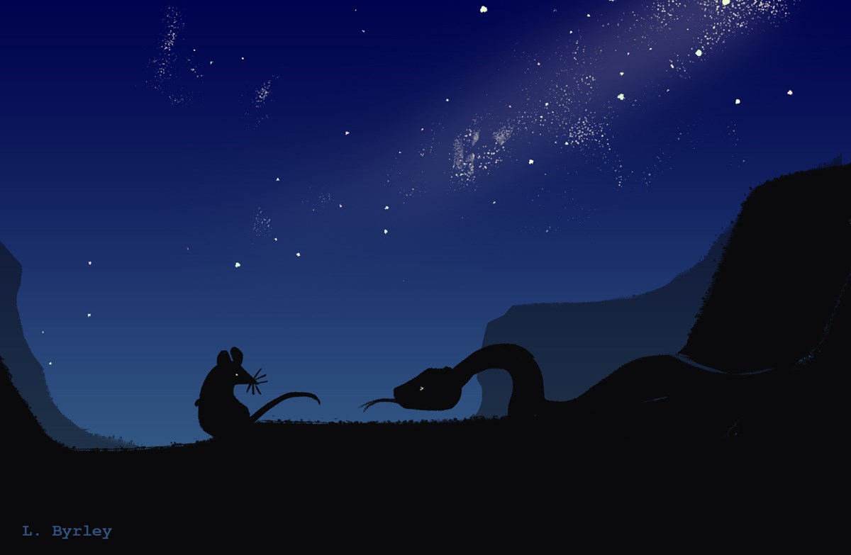 Nighttime. Silhouettes of a mouse and a rattlesnake with canyon cliffs and a starry sky above