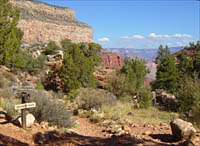 Pinyon pine and juniper zone
