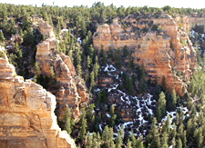 Microclimates below the rim near Yaki Point on the S. Rim Microclimates below the rim near Yaki Point on the S. Rim