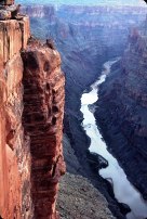 view of colorado river from toroweap overlook