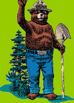 a picture of Smokey Bear