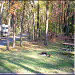 Photo of campsite in the Greenbelt campground