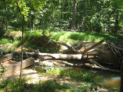 a picture of the bridge crossing on Still Creek