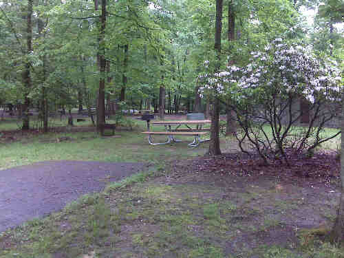 A campsite in the Greenbelt Park campground