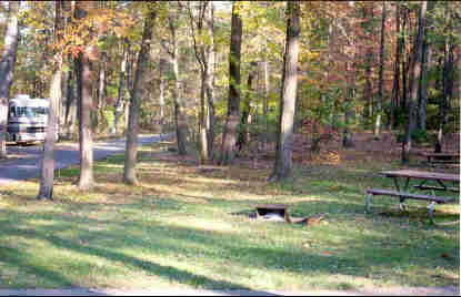 a picture of a campsite in the Greenbelt Park campground