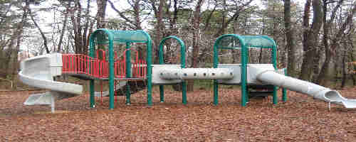 a picture of the Sweetgum Picnic Area in Greenbelt Park