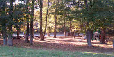 a picture of the Sweetgum Picnic area
