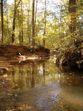 a picture of Still Creek