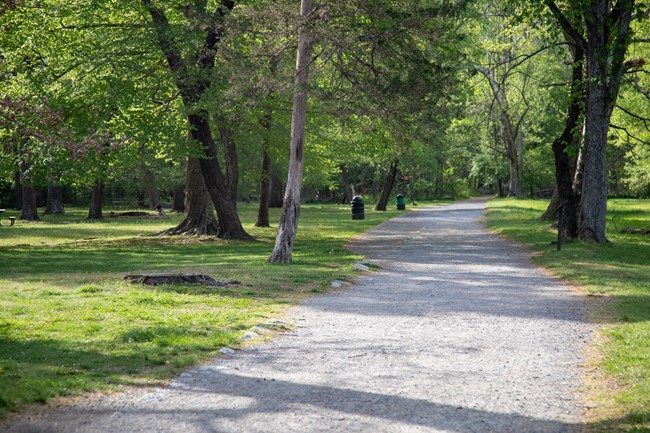 A wide, flat gravel path cuts through a grassy area with trees and trash cans.
