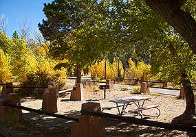 Picnic Site, Individual