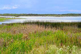 Blanca Wetlands