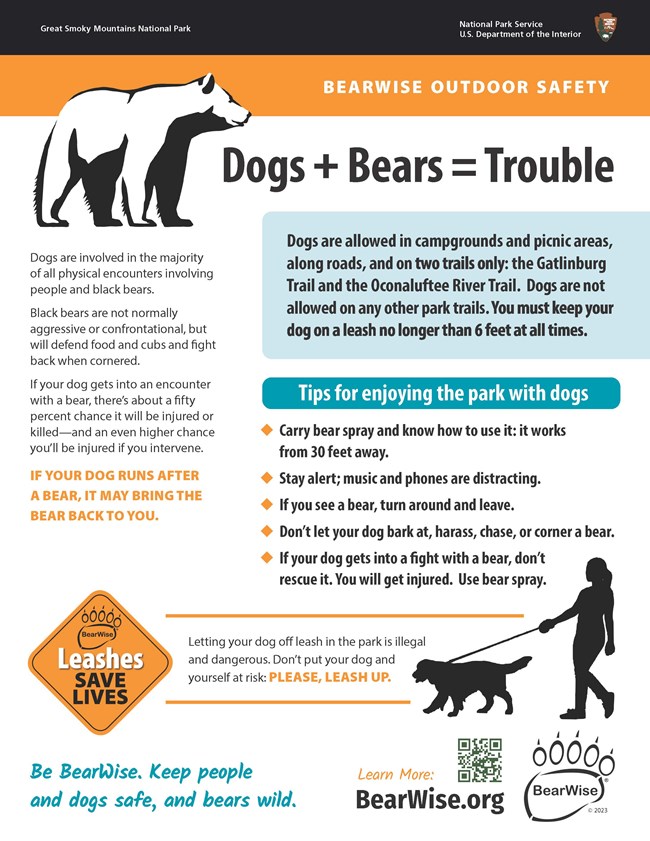 Infographic with a main title that says, "Dogs + Bears = Trouble." A light blue box with black text says, "Dogs are allowed in campgrounds and picnic areas, along roads, and on two trails only: the Gatlinburg Trail and the Oconaluftee River Trail."
