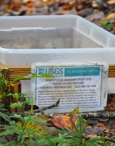 A USGS project collects falling leaves, which will be tested for mercury.