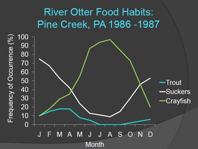 A graphical display of river otter food preferences