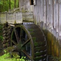 A mossy, wooden waterwheel beside a gristmill