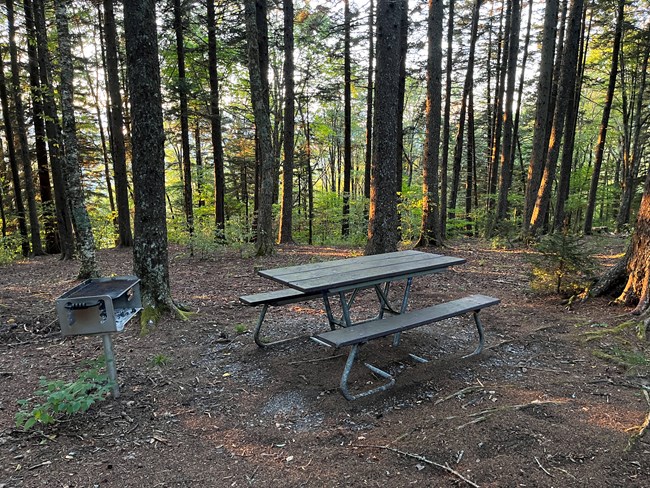 A picnic table and raised charcoal grill in the forest.
