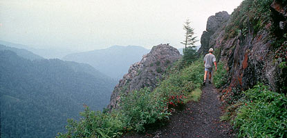 Charlies Bunion is a popular day hike destination.