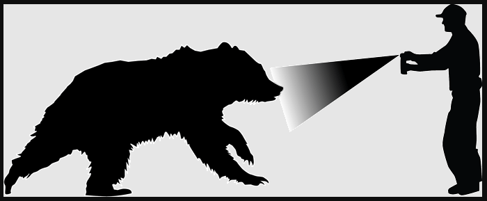 Graphic of person spraying bear spray at a bear