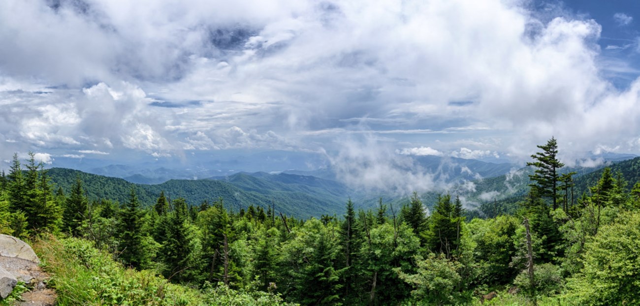 A mountain overlook framed by green trees and fluffy clouds in a partly sunny sky