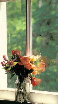 A vase of flowers decorates the window sill in the Little Cataloochee Church.
