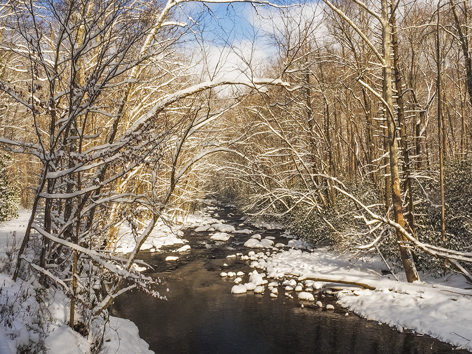 A flowing creek with snow-covered rocks sprinkled in it and snowy trees lining its banks.