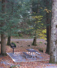 Picnic site at Chimneys Picnic Area.