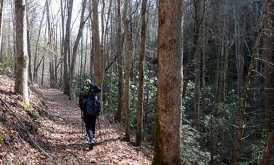Backpack hiker on park trail