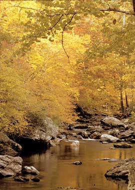 Fall colors can be enjoyed in October and early November in the park.