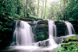 A small waterfall on the Roaring Fork river