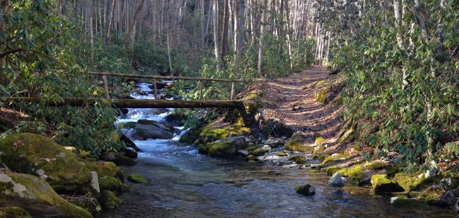 A log bridge and trail cross a stream