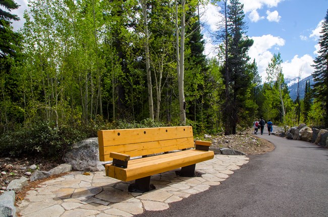 New Bench and Pathway to Jenny Lake