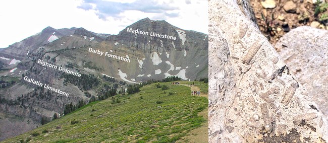 Left - Southern Teton Range with sedimentary rock layers labeled. Right - Limestone containing marine fossils.