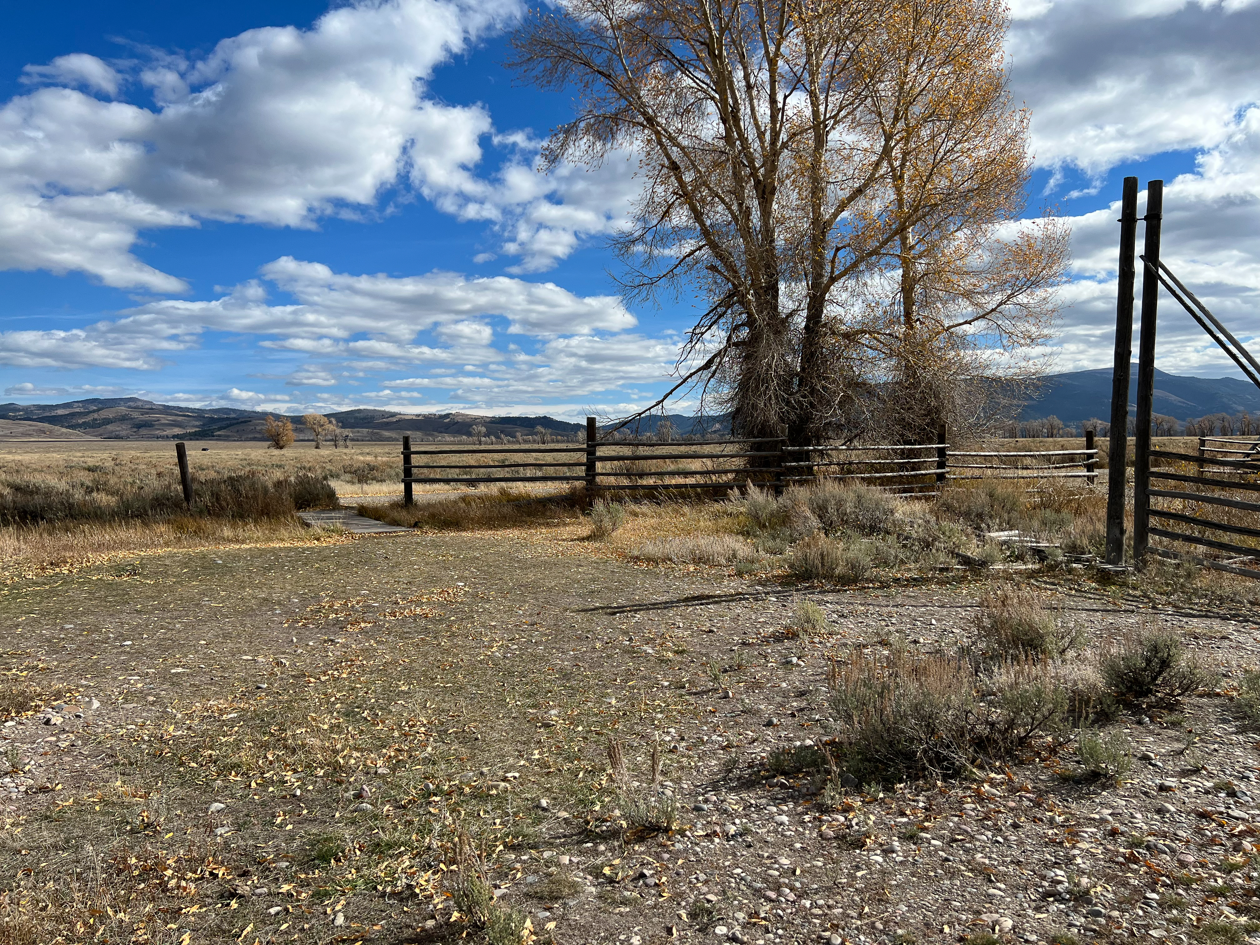 Footbridge at ceremony site.