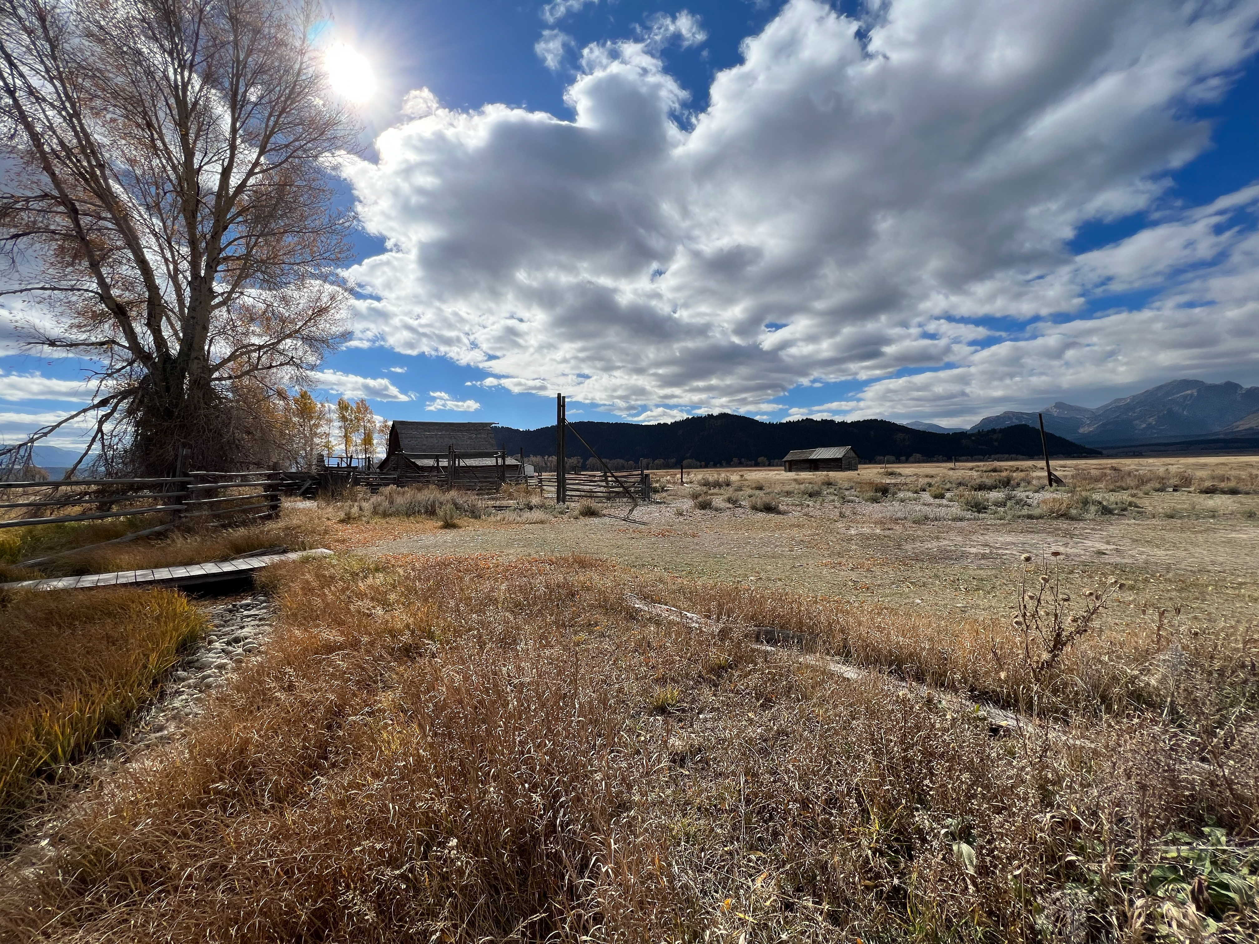 View of John Mouton homestead