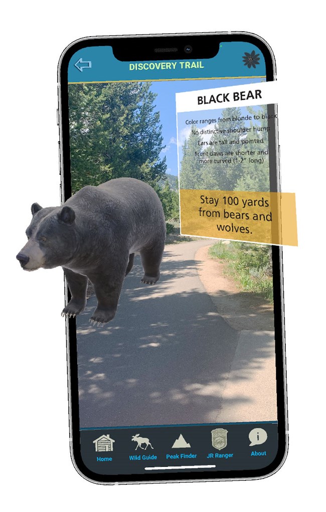 Phone with a digital bear stepping out of the frame. Depicts the Discovery Trail feature.