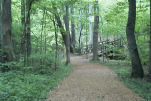 Battlefield Walking Trail