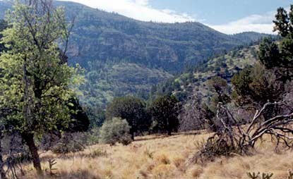 Dog Canyon - Guadalupe Mountains National Park (u.s. National Park Service)