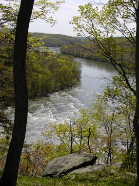View from Murphy Farm