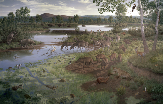 Artist's view of Hagerman during the Pliocene epoch