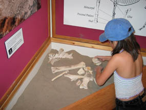 Having fun in the Visitor Center.