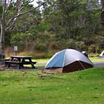 Tent camp site at Namakanipaio campground. Link to camping information.