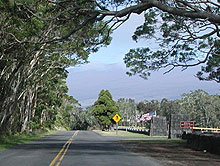Koa trees frame a scenic view of Mauna Loa from Crater Rim Drive, fronting Kilauea Military Camp. Koa trees frame a scenic view of Mauna Loa from Crater Rim Drive, fronting Kilauea Military Camp.