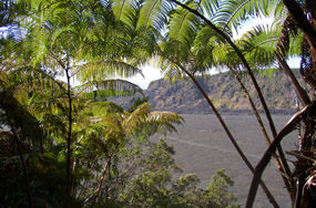 Scenic view looking into Kilauea Iki crater, framed by hapu`u ferns.