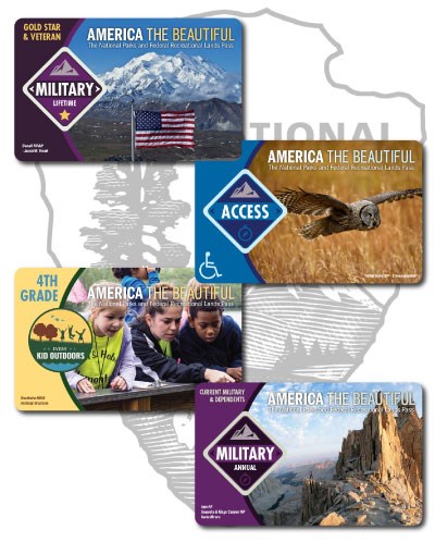 Card fronts showing landscapes and images of children and one with an own. All with text reading America the Beautiful National Parks and Recreation Pass