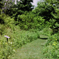 Nature trail at Mound City Group.