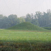 Central Mound at Mound City Group with spider web in foreground.