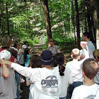 Summer Family Programs
